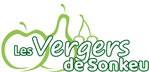 Les vergers de Sonkeu